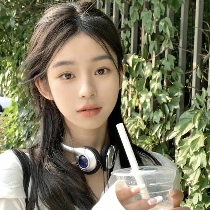 巨齿鲨